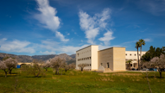 La UIB planta un bos..